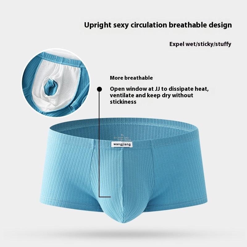 Boxer Briefs Men's Cotton Four Seasons Universal